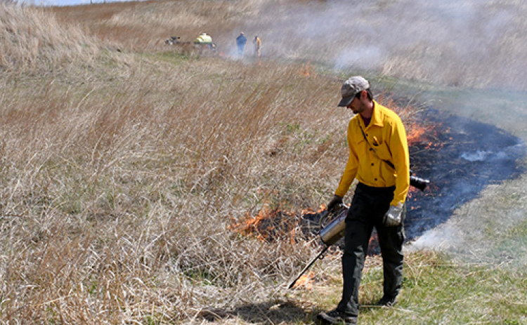 Ethan Freese uses a tool called a drip torch to drop burning fuel into the dry grass at Gjerloff Prairie on April 30 as part of a controlled burn.