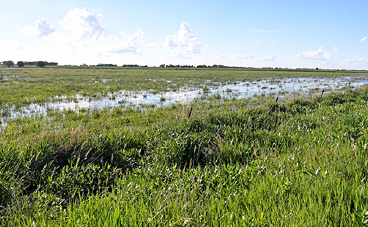 This wetland along J Road and just south of Highway 34 near the Giltner Spur has been filled up by recent rains to the point that, by one estimate, more than 100 acres is now underwater.
