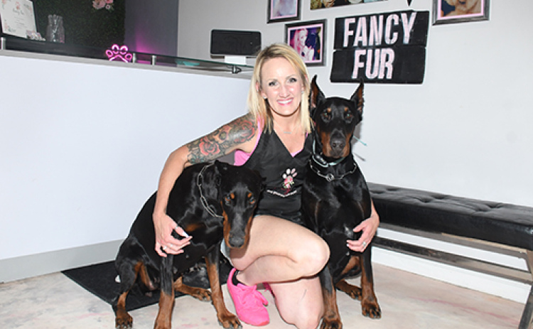 Leah Snyder poses with her beloved Doberman’s, Zeus and Zelda, in her Fancy Fur Dog Grooming Salon & Spa. The 2008 Aurora graduate has reopened her business at 1818 Applewood St.