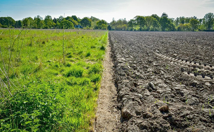 Regenerative agriculture is about working with nature – enhancing soil health, boosting biodiversity and building resilience – to create ecological wins and put money in the bank.