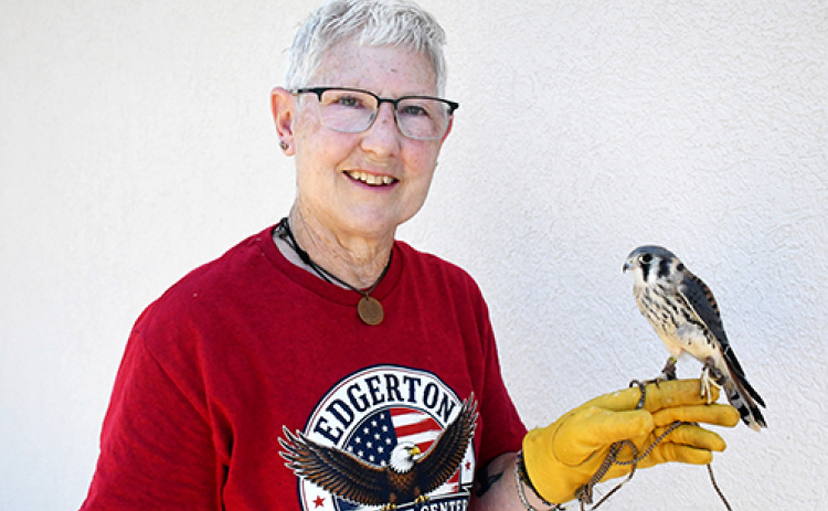 Edgerton Raptor Specialist Deb Miller holds the latest member of the faculty of the raptor program, Jet the American kestrel.