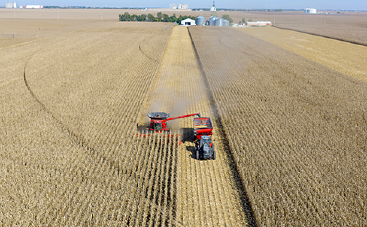 Mitch Oswald, with the help of his dad, Mike driving the combine, begins harvesting a cornfield west of Aurora on Friday.