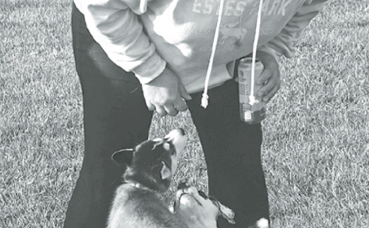 Alt Text for Image