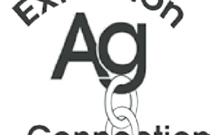 Alt Text for Image
