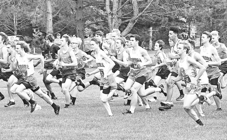 The boys cross country team jostles to find their place in the initial rush during the beginning of the race. News-Register/Jeni Moellenberndt