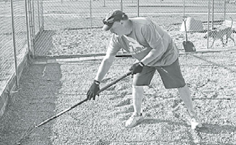 Carlin Engert helps to redistribute the gravel in the outside dog pins under the watchful eye of one of the canine residents. News-Register/Jeni Moellenberndt