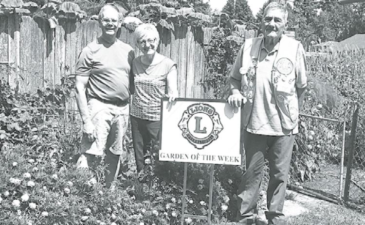 Garden of the Week